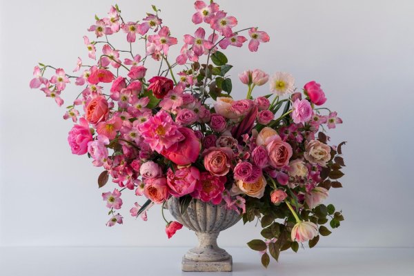 tulipina кианы андервуд