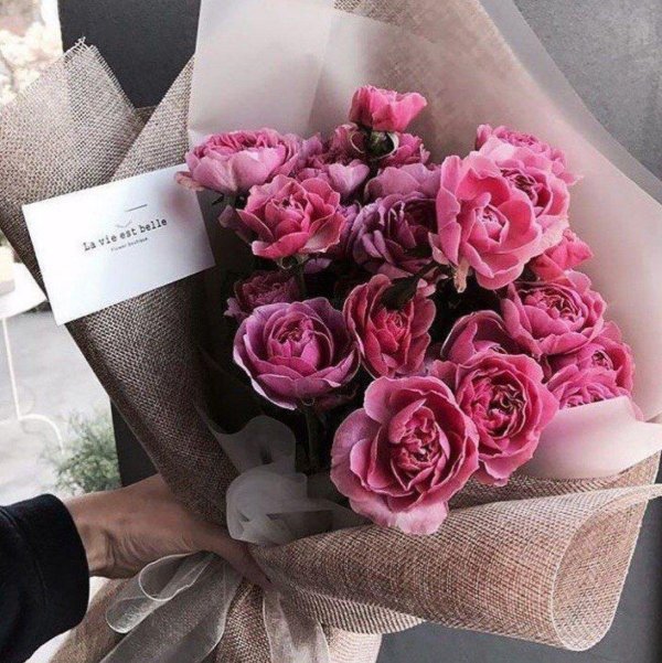 букет пионов эстетика пинтерест