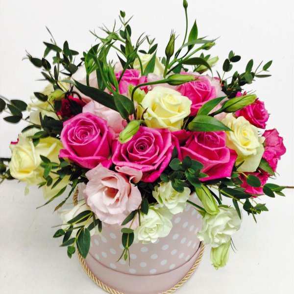 эустома фуксия