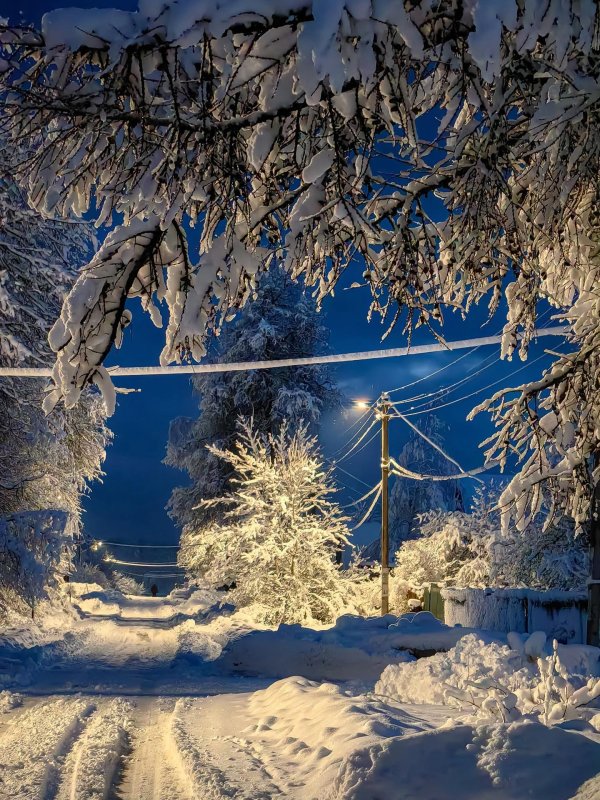 морозный вечер