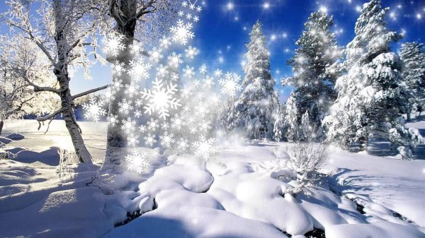 зимняя природа