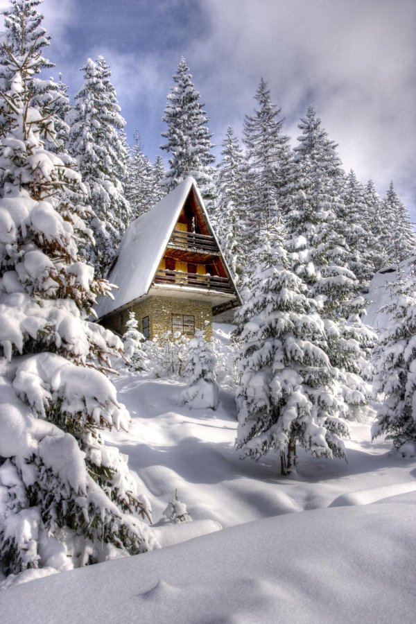 дом в зимнем лесу