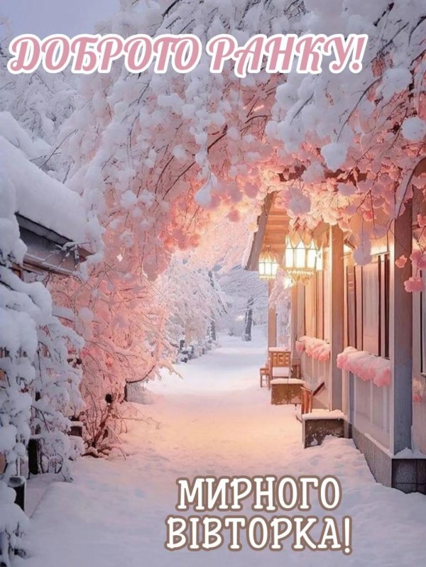 природа зимняя