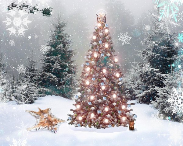 новогодний лес