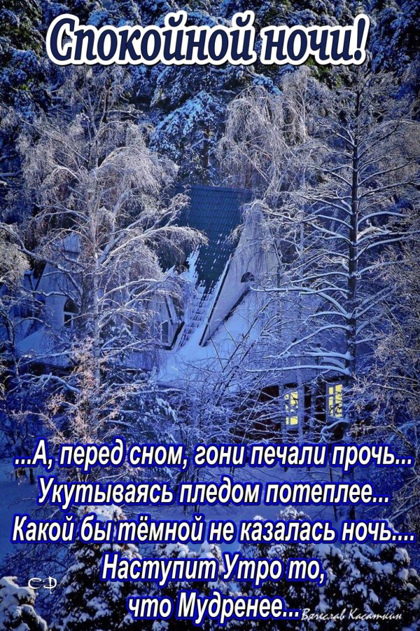 спокойной зимней ночи