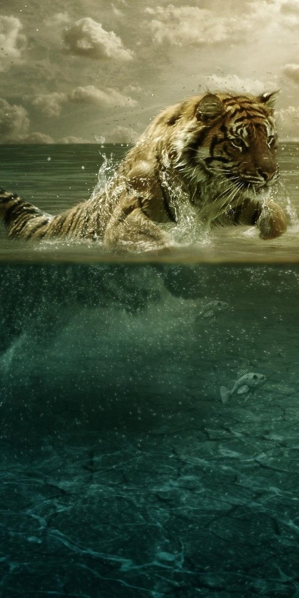 плавающий тигр