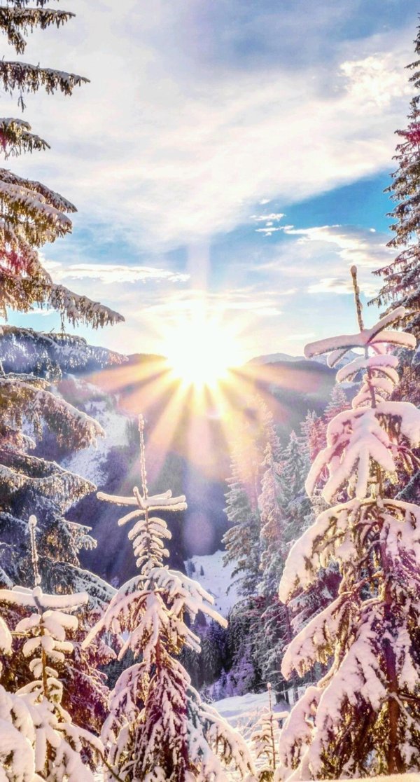 новогодние пейзажи