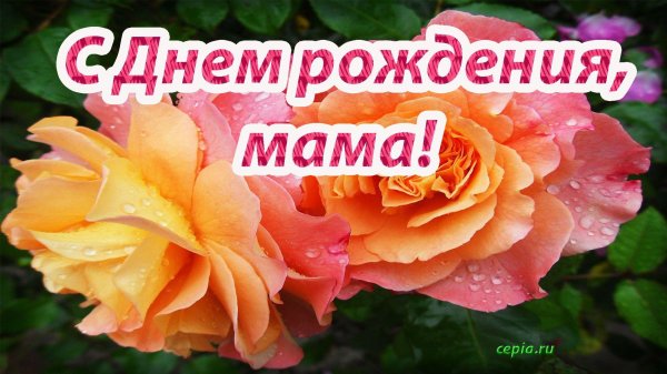маме в день рождения