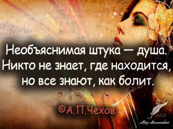 умные высказывания