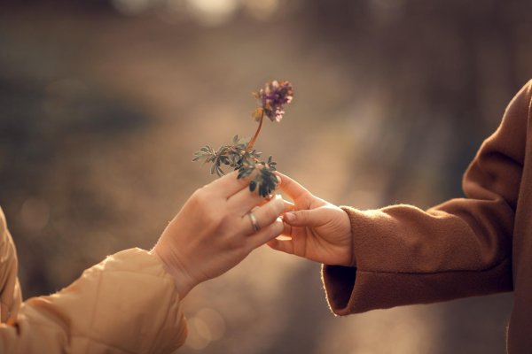 рука держит цветок