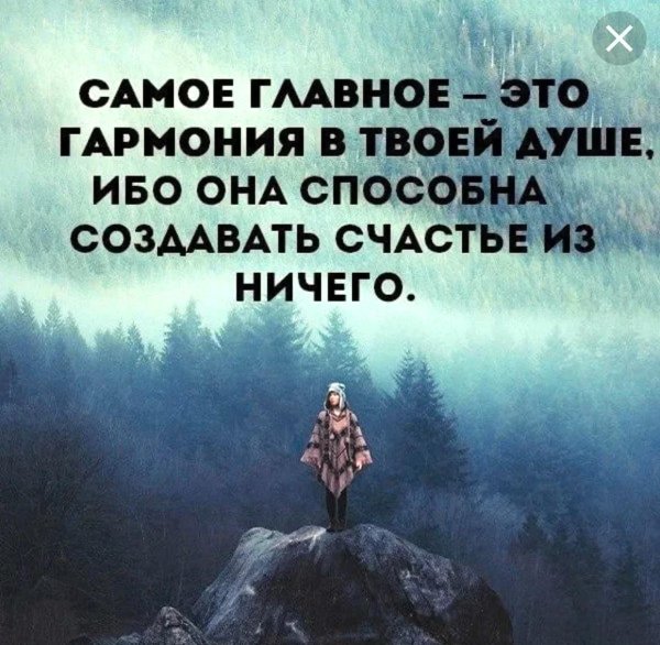 гармония цитаты