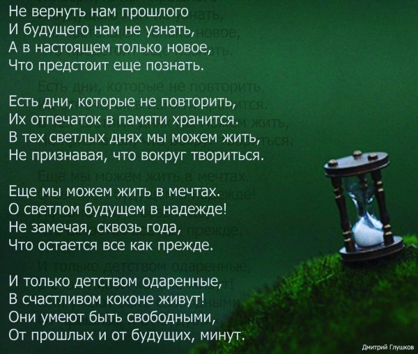 жизнь в стихах