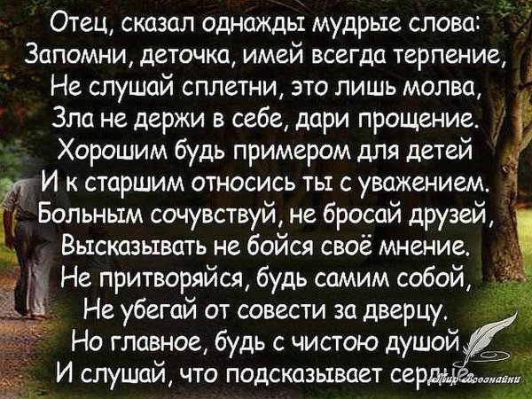 мудрая цитата