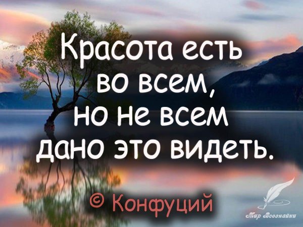 красота есть во всем