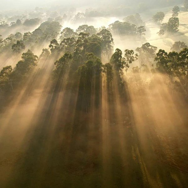 мудрость природы