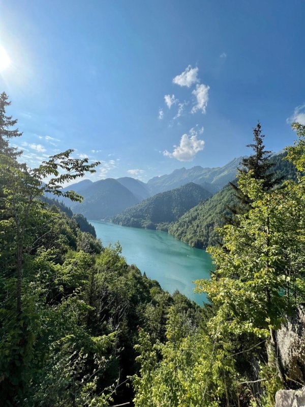 рицинский реликтовый парк