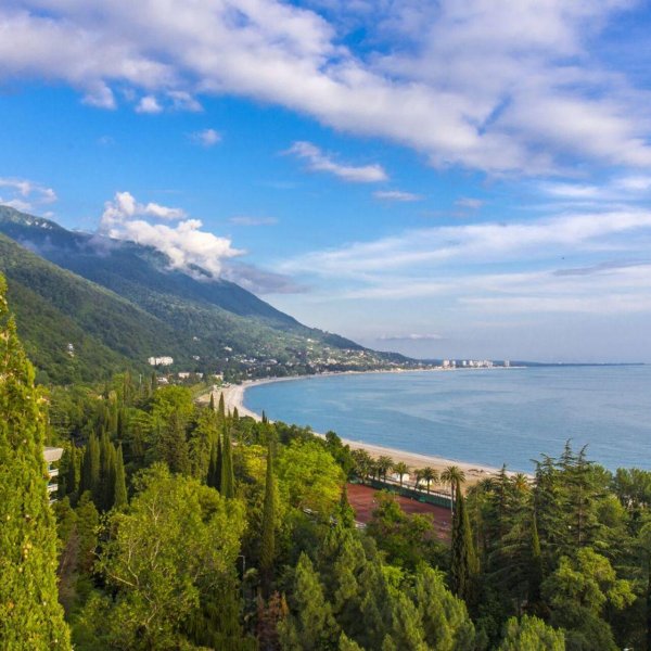 колхида пансионат абхазия