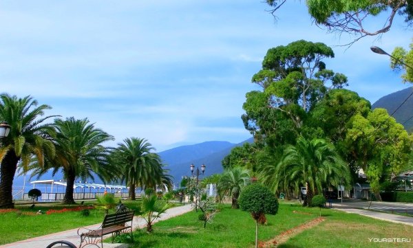 приморский парк гагра