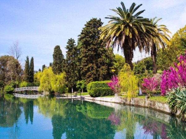 парк южные культуры адлер