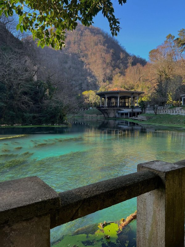 новый афон станция псырцха