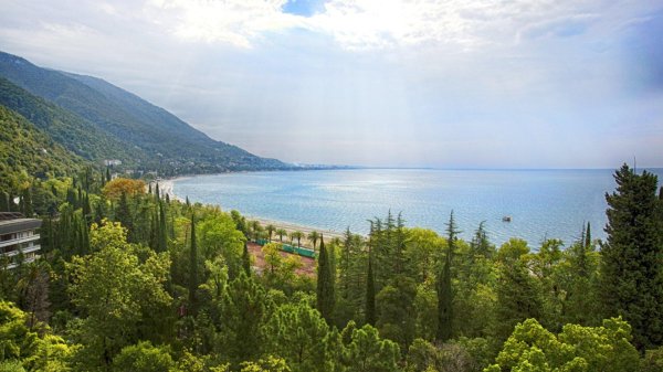 колхида пансионат абхазия