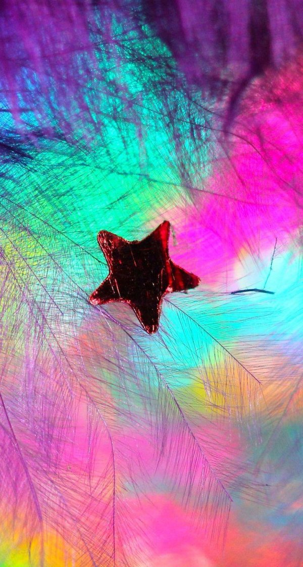 разноцветные перья