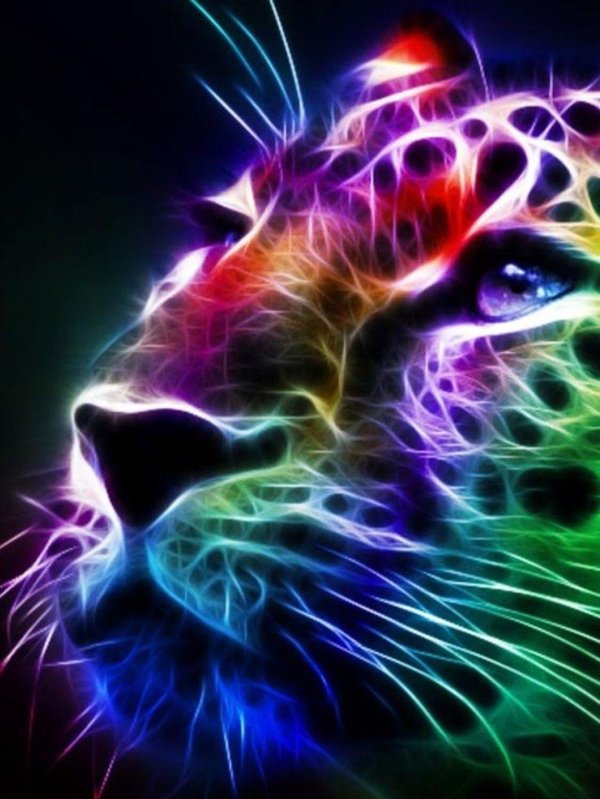 разноцветные животные