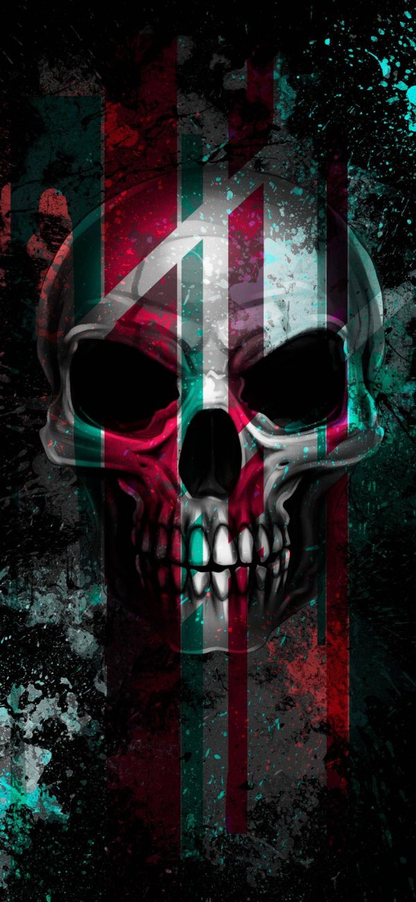 череп скелет