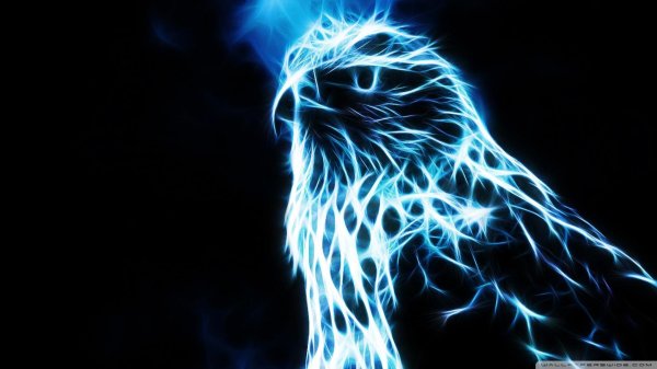 неоновые птицы