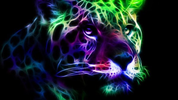 цветные животные