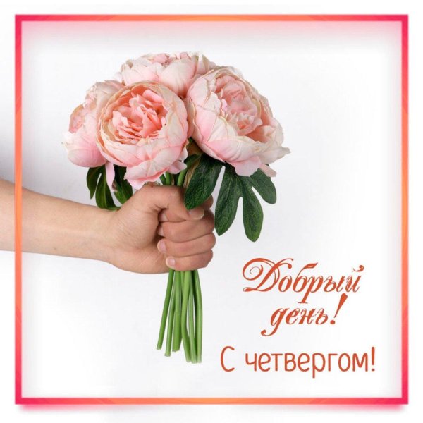 доброго дня четверг