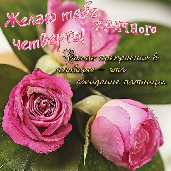 поздравляю с четвергом