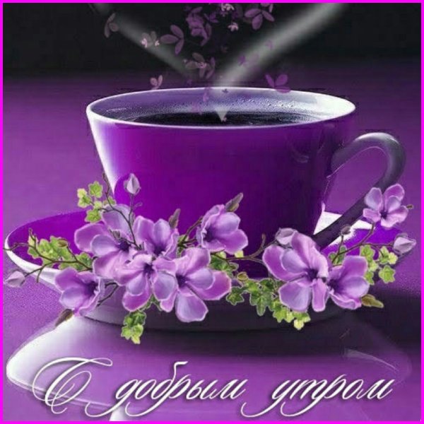 доброе утро фиолетовый