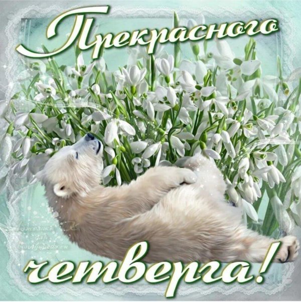 доброго весеннего дня