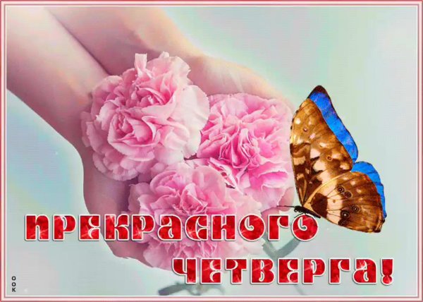 четверг открытки красивые
