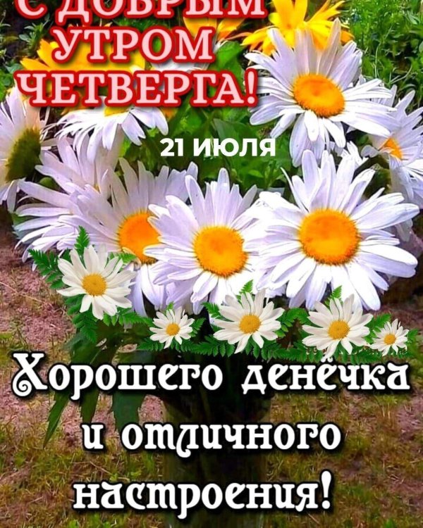 доброе утро лето четверг