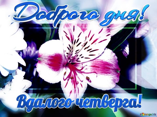 четверг доброго дня