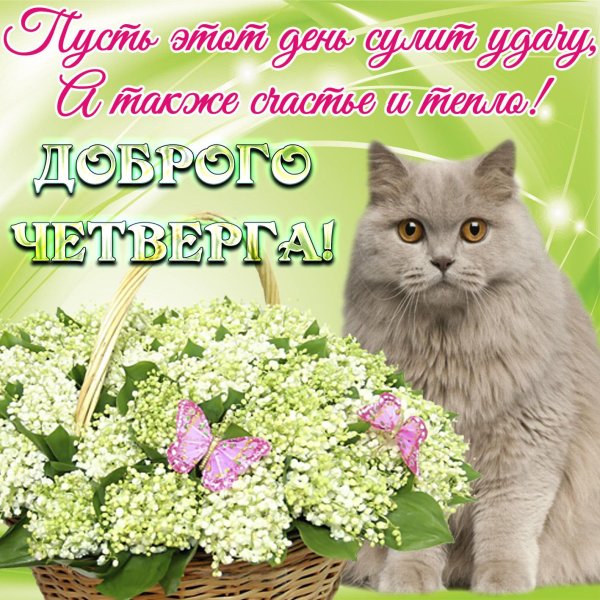 добрейшего четверга