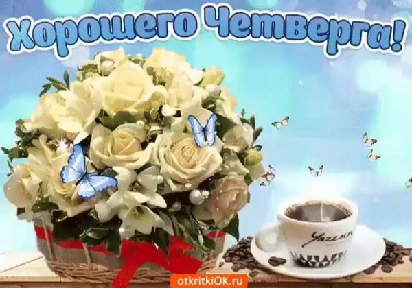 доброго утра удачного дня