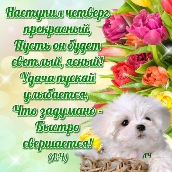 хорошие пожелания