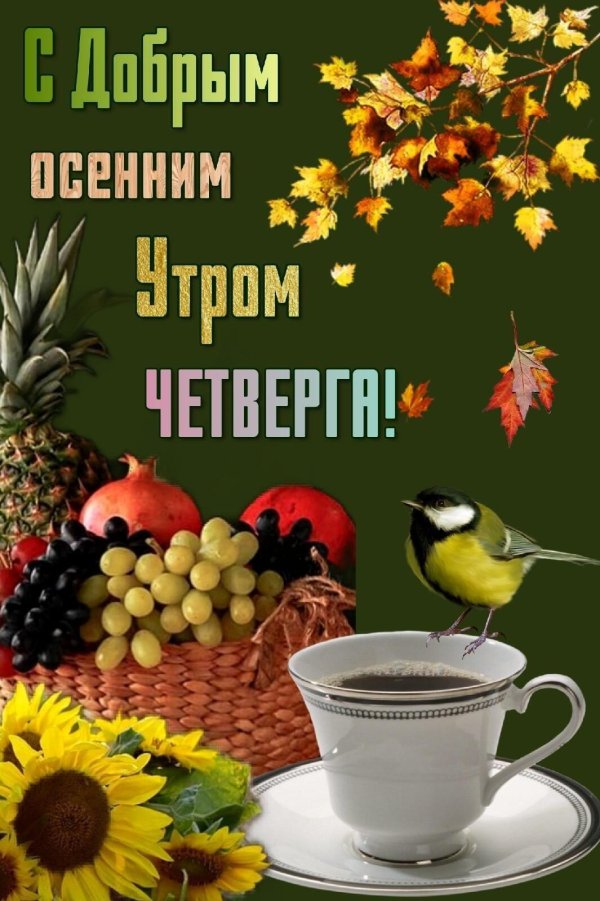 доброе утро осень четверг