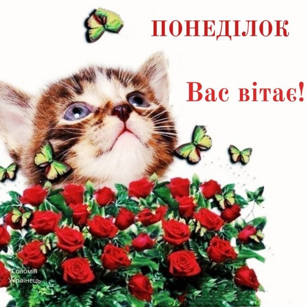 четверг доброе