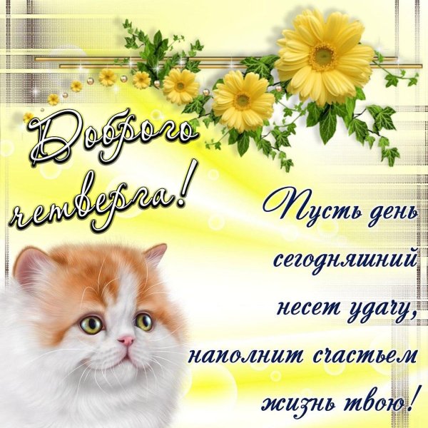 с добрыми пожеланиями