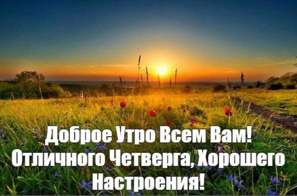 утро четверг