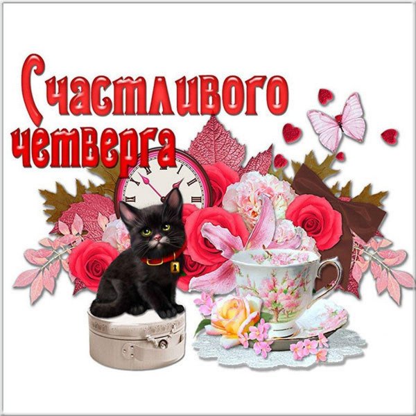 чудесного четверга