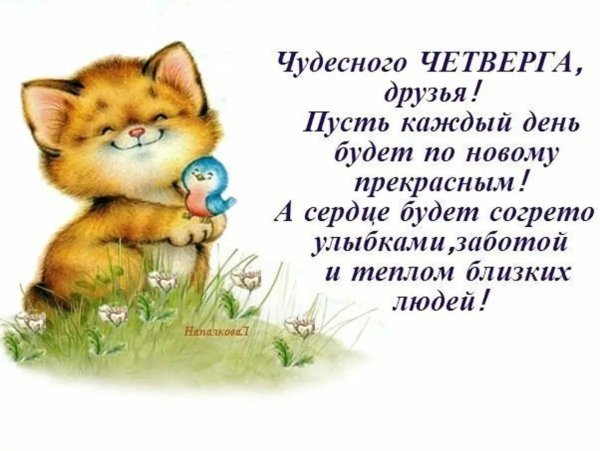 чудесного четверга