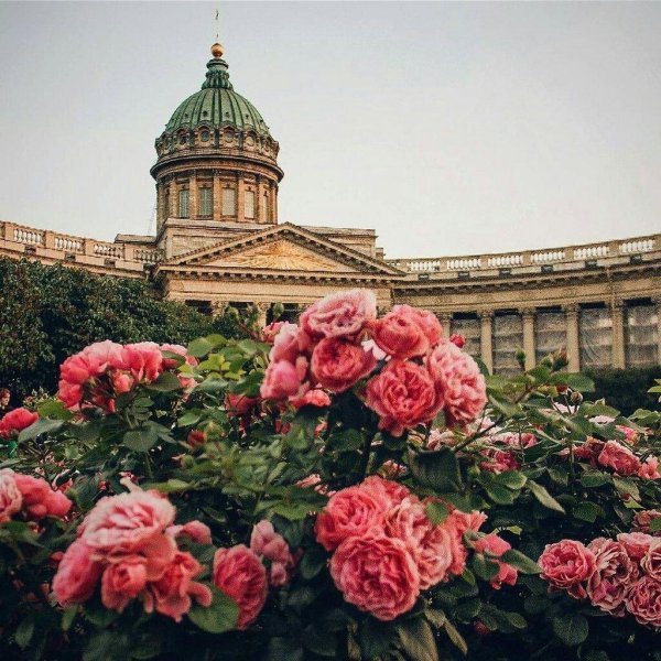 исаакиевский собор цветы