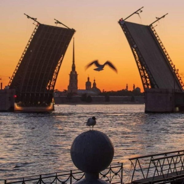 санкт петербург мост