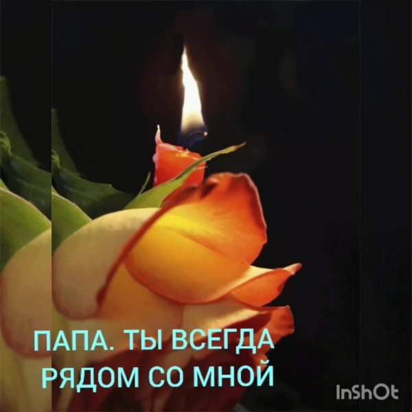 цветы скорби