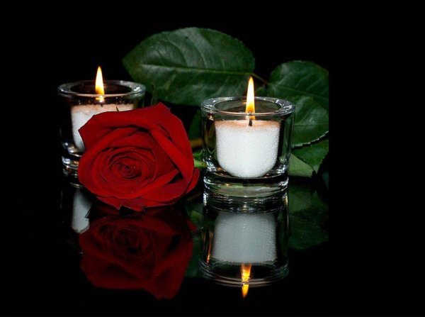 свеча роза